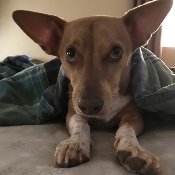 THANK YOU FOR SHOPPING ON POSHMARK! - Picture 7 of 13